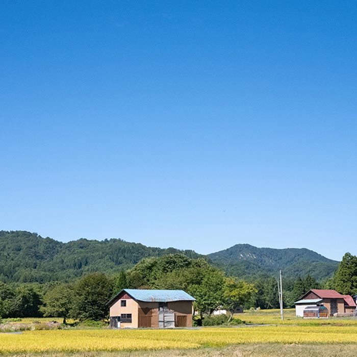 出張＆スタジオ撮影／取材撮影