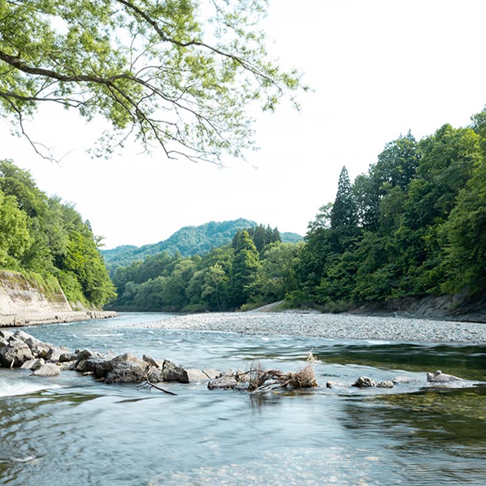 出張＆スタジオ撮影／取材撮影