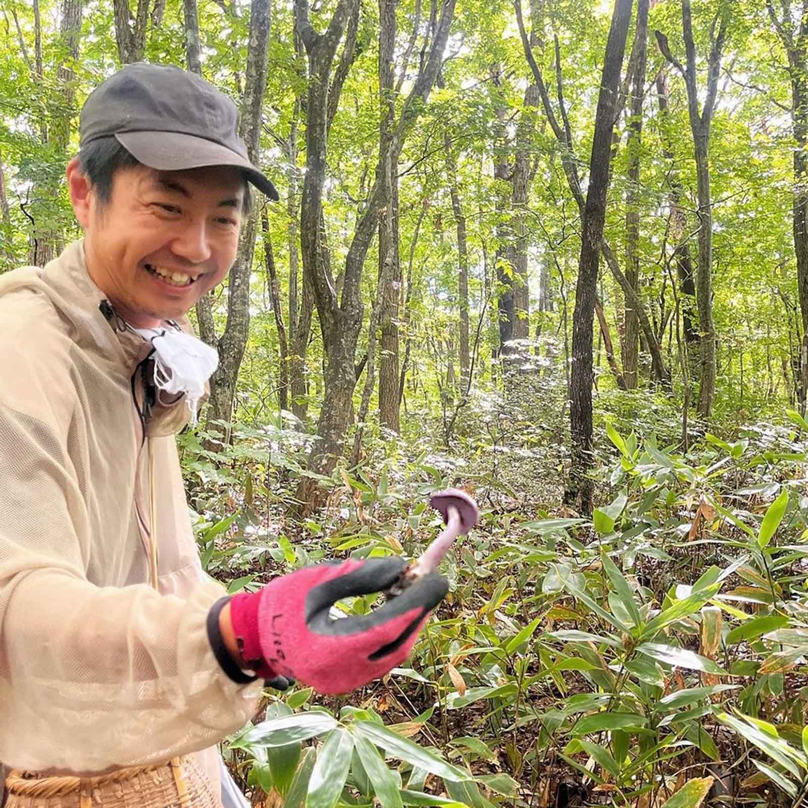 7UPキノコ/乾燥和製ポルチーニMIX