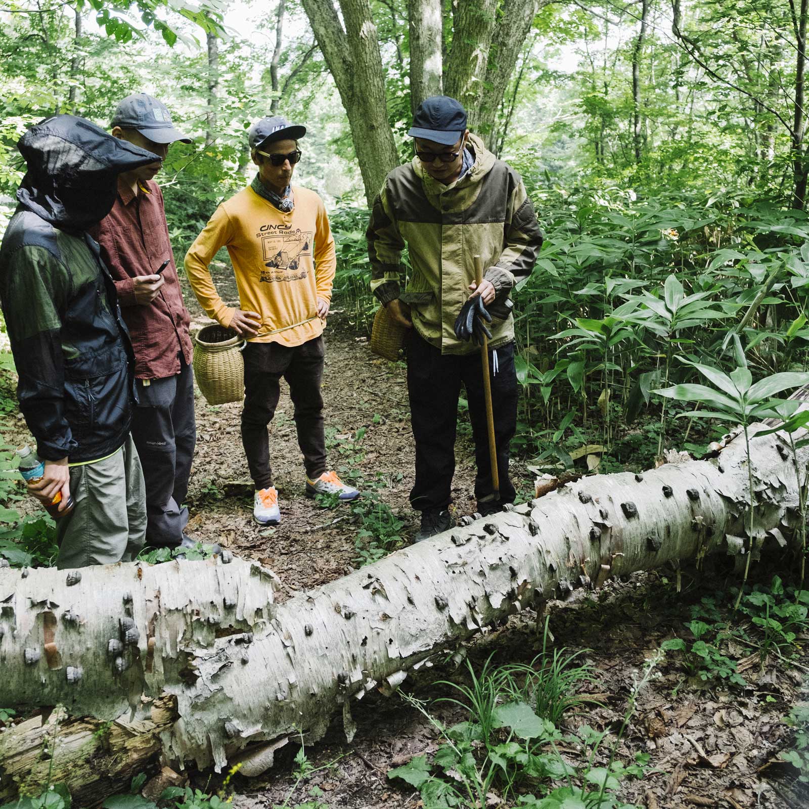 POPEYE エデュケーション・クラブ Vol.1／秋のキノコ狩り