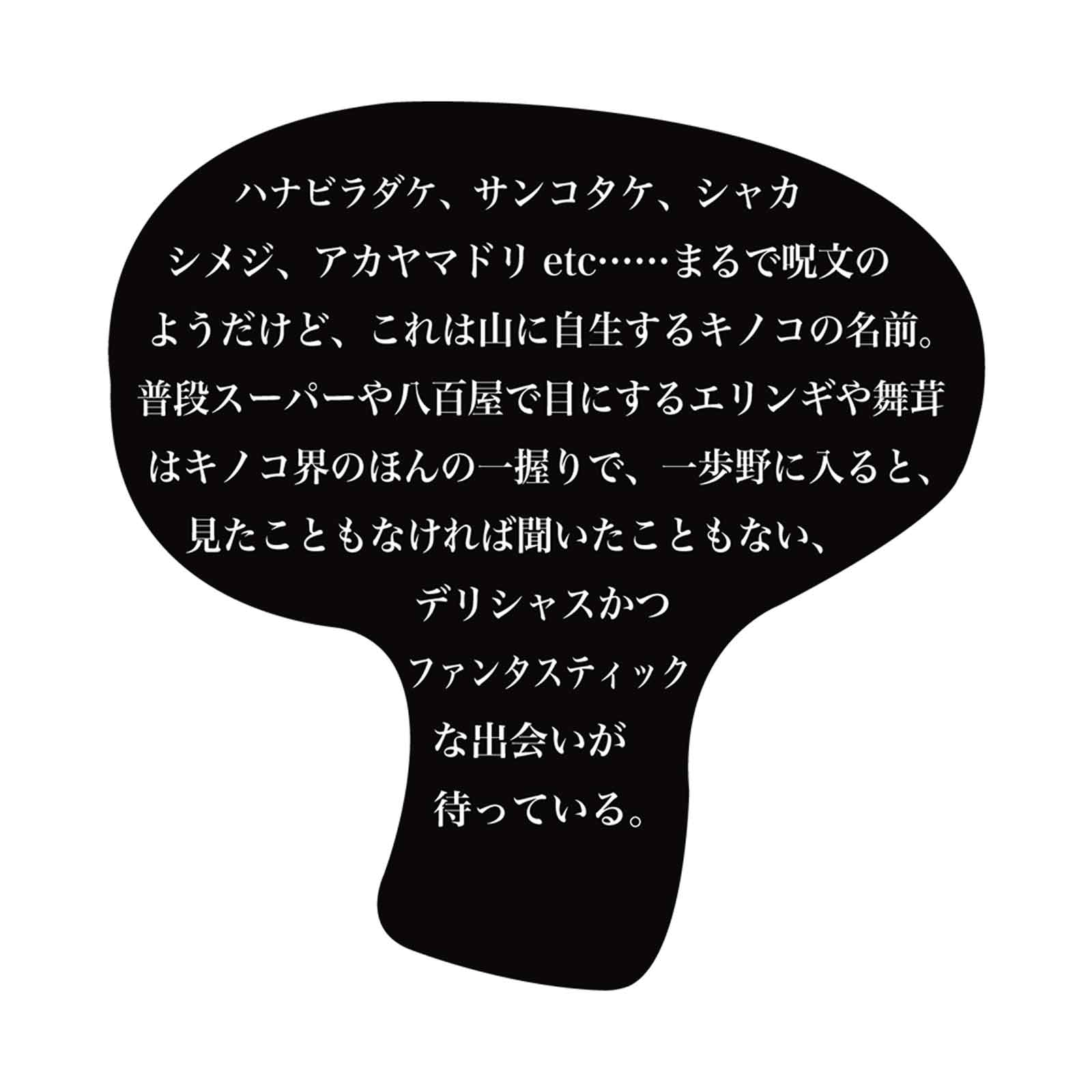 POPEYE エデュケーション・クラブ Vol.1／秋のキノコ狩り