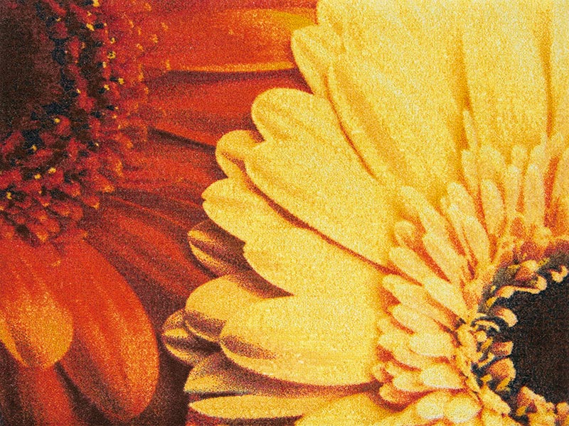 �ڼ��������۸��إޥåȡ����ե����ѥޥå� Office & Decor Gerbera / �����٥�  145��200cm