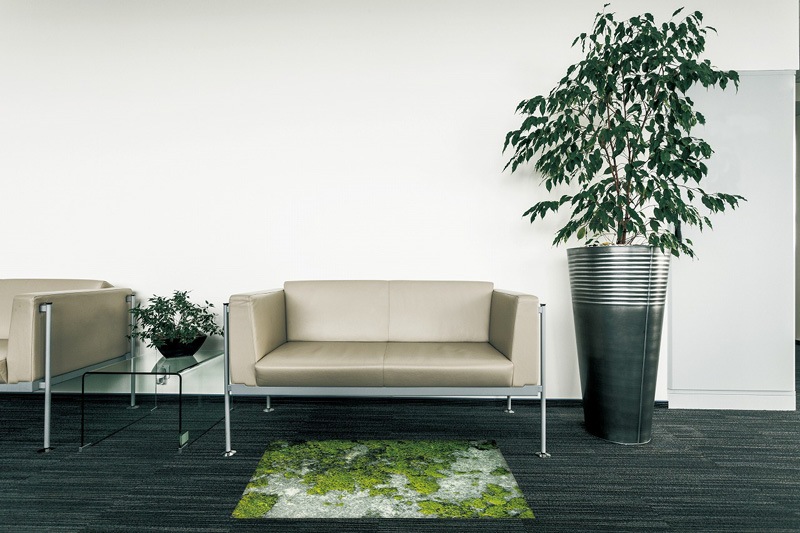 ڼ۸إޥåȡեѥޥå Office & Decor Mosstone / ⥹ȡ  145200cm