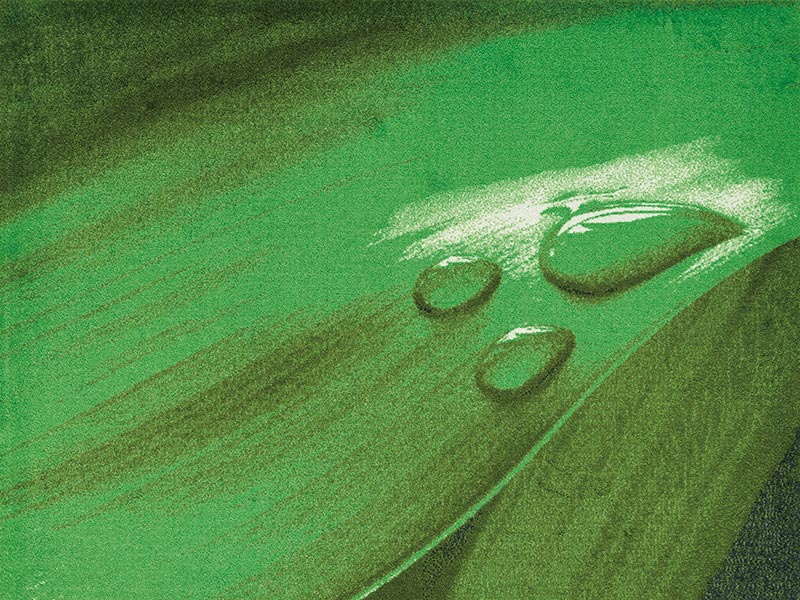 ڼ۸إޥåȡեѥޥå Office & Decor Leaf Drop / ꡼եɥå  145200cm