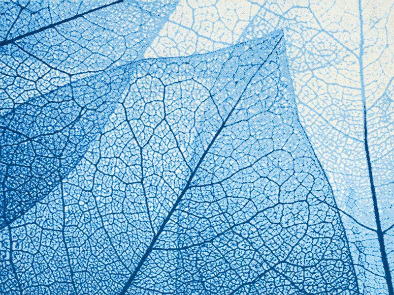 �ڼ��������۸��إޥåȡ����ե����ѥޥå� Office & Decor Blue Veins / �֥롼�٥��� 90��120cm