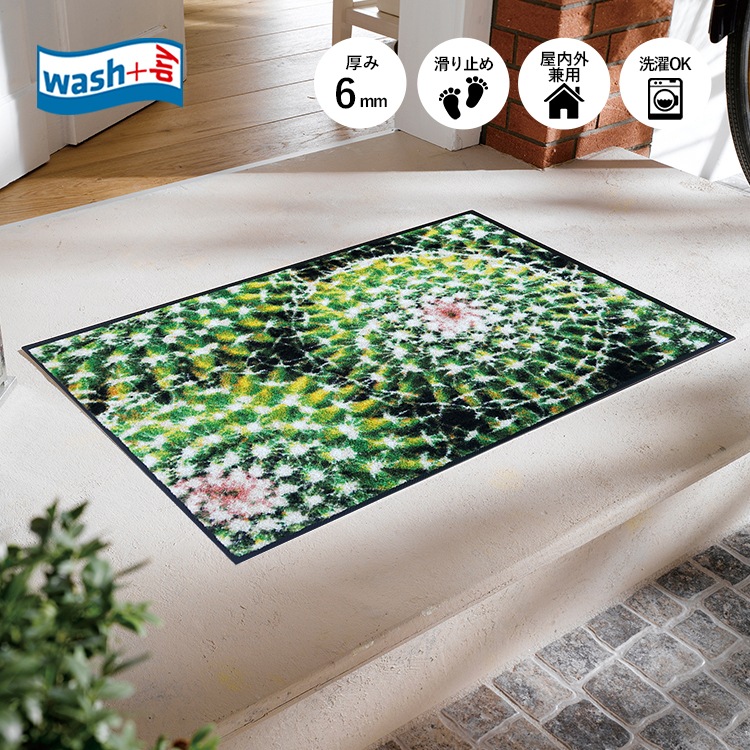 ���إޥå� wash+dry(�����å��� ����� �ɥ饤) Spiny Green 50��75cm