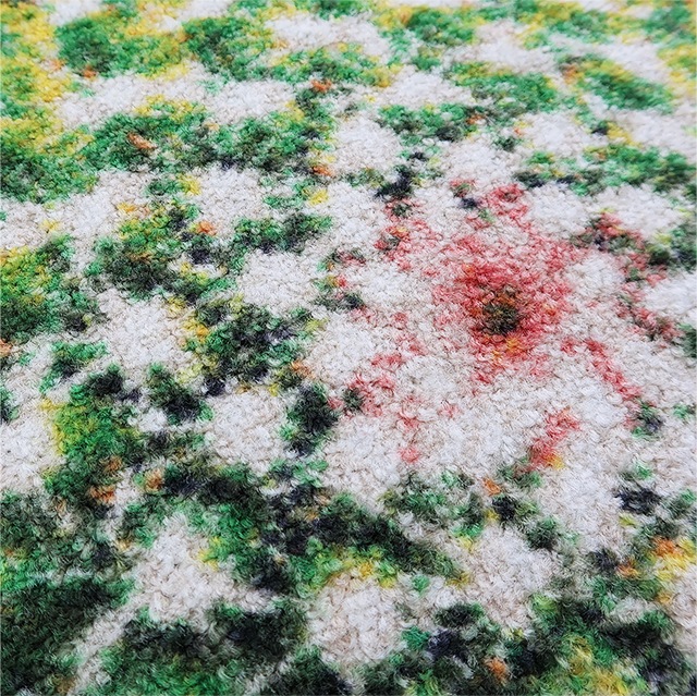 ���إޥå� wash+dry(�����å��� ����� �ɥ饤) Spiny Green 50��75cm