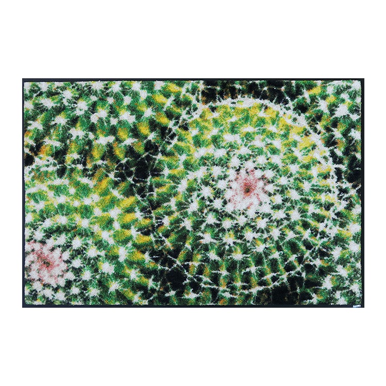 ���إޥå� wash+dry(�����å��� ����� �ɥ饤) Spiny Green 50��75cm