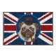���إޥå� wash+dry(�����å��� ����� �ɥ饤) British Pug 50��75cm
