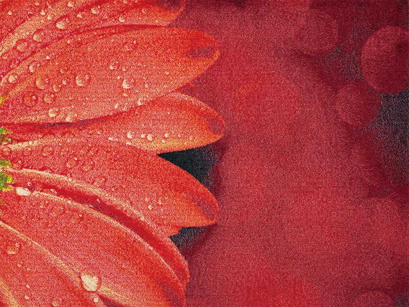 �ڼ��������۸��إޥåȡ����ե����ѥޥå� Office & Decor Red Floral / ��åɥե������  120��160cm