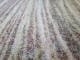�ڼ��������۸��إޥåȡ����ե����ѥޥå� Office & Decor Grain / ���쥤�� 90��150cm