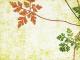 �ڼ��������۸��إޥåȡ����ե����ѥޥå� Office & Decor Wild Flower / �磻��ɥե� 90��120cm