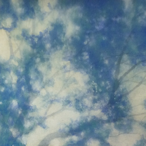 原田　隆／「青樹」