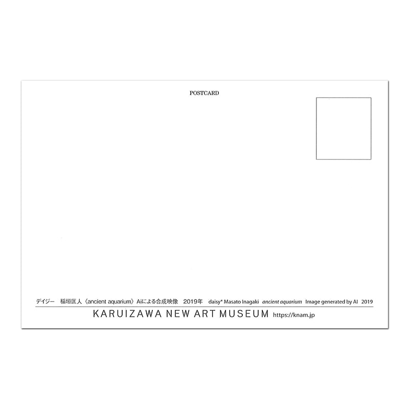 デイジー 稲垣匡人 〈ancient aquarium〉 ポストカード