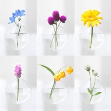 +d｜カキ【宙に浮く一輪挿し】