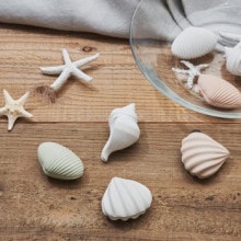 soil｜GEM コースター2枚組 サークル/スクエア | KONCENT Web shop