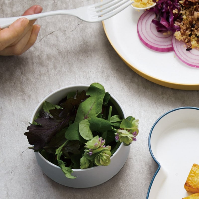 4種類のスープ皿セット オリジナルスープ皿 1枚 | SOUPs