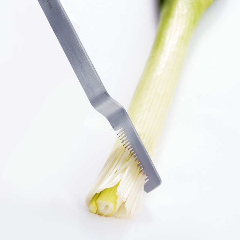 EAトCO｜シボル | KONCENT Web shop｜アッシュコンセプト公式