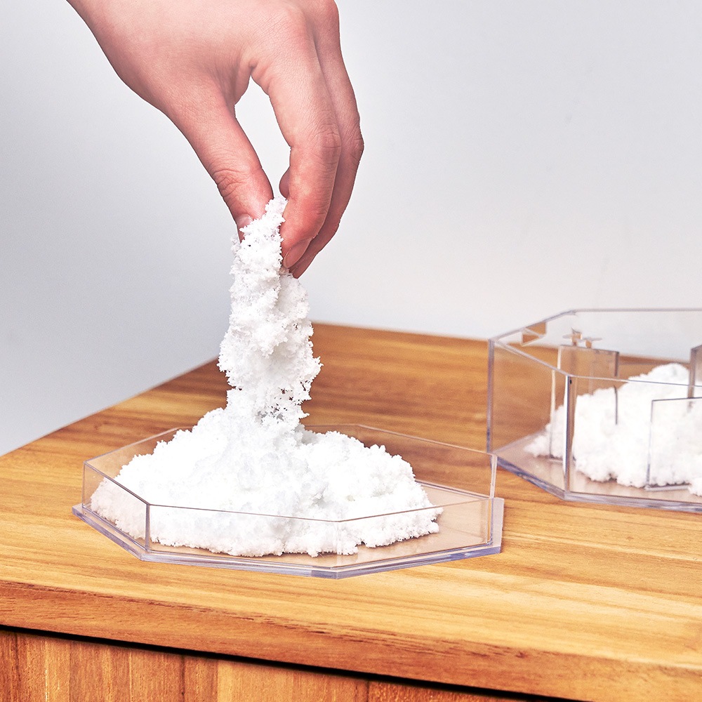 ［新品］SLOTHREAT Allium Allium zebdanense – Zetas Garden - Online Store