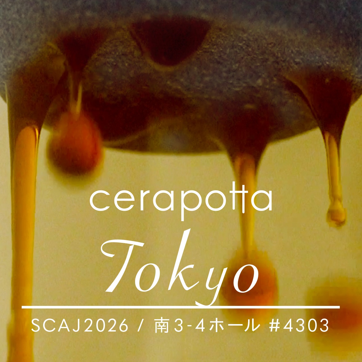 cerapotta｜セラミックコーヒーフィルター | KONCENT Web shop