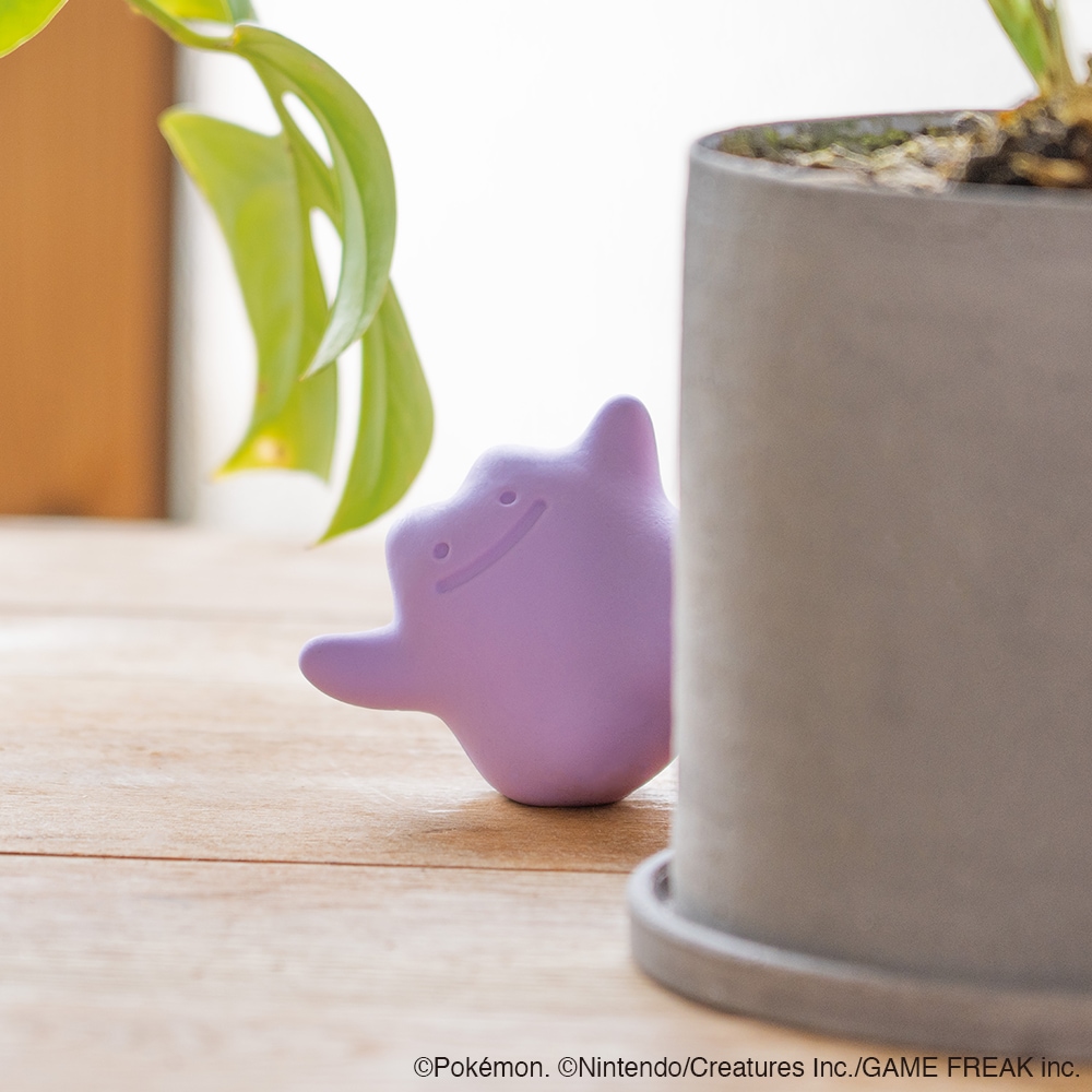 d｜CAOMARU・Metamon カオマル・メタモン【予約商品】 | KONCENT Web