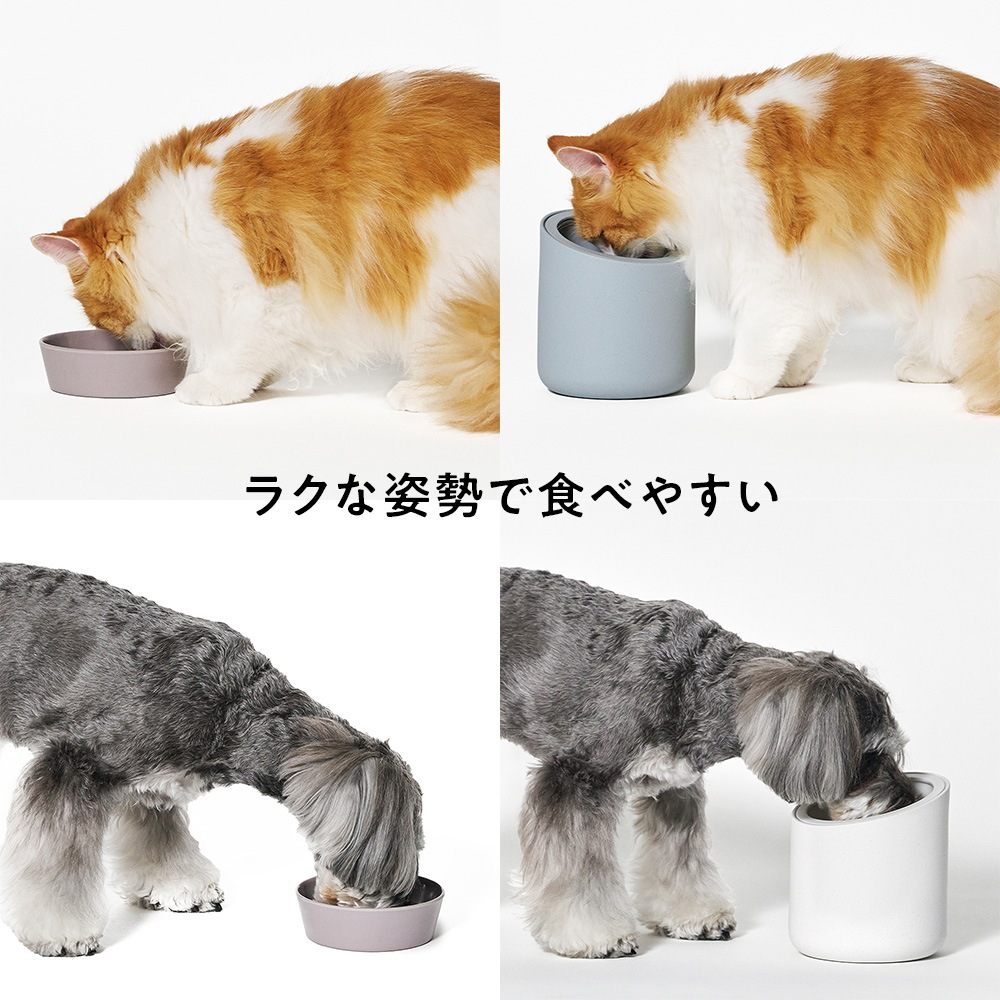 h tag｜ペットディッシュ | KONCENT Web shop｜アッシュコンセプト公式