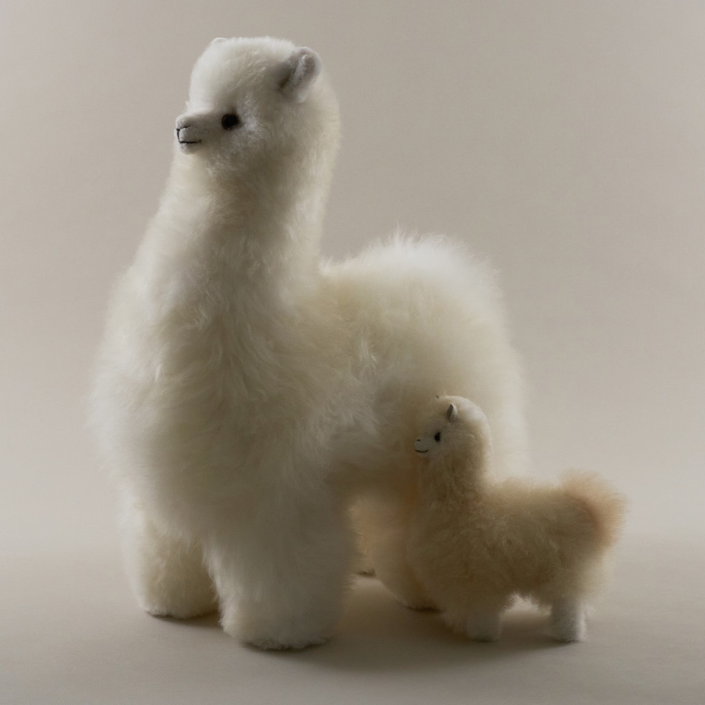 elvang｜アルパカ テディ 50*50 | KONCENT Web shop｜アッシュ