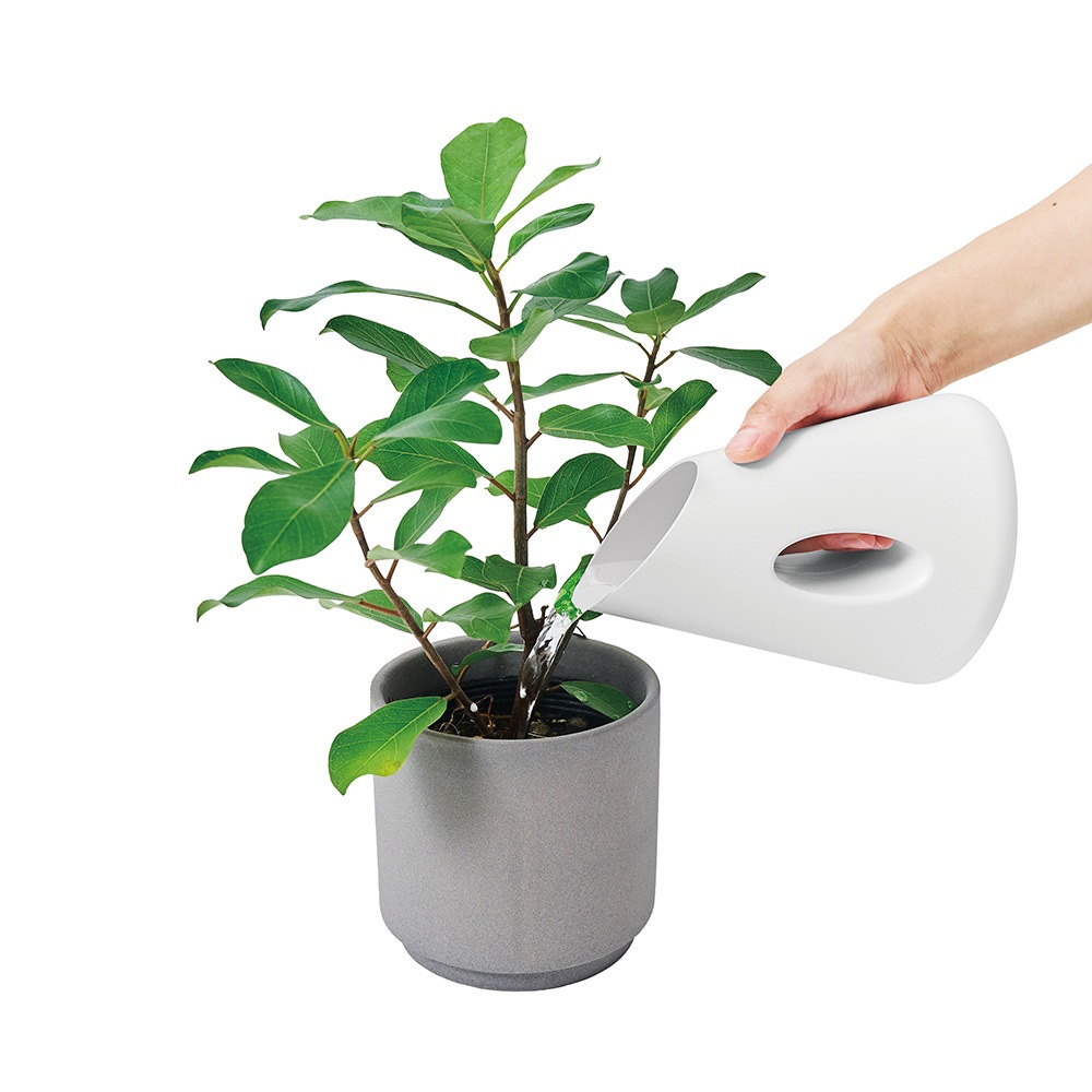 emo｜フラワージャグベース500 | KONCENT Web shop｜アッシュ