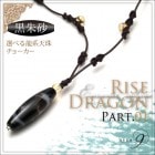 뺽ŷRISE DRAGONŷ٤硼-part01- ζŷζŷζŷ