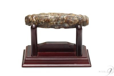 ˡŷ97mm24mmۡդۡڥ᡼Բġۡۥ鳭