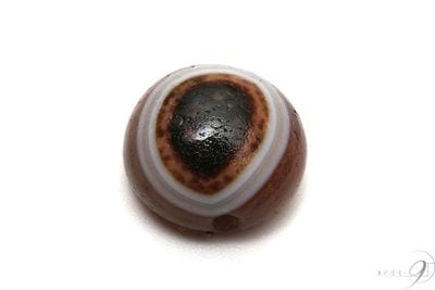 �ڥ�����ɡ��ץ�ߥ���������ۡ��Ӵ���ŷ���20mm��20mm��12mm�ۡ�3�ۡڥ᡼�����Բġ�