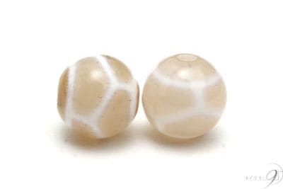 ��Ϸ�̿�ŷ��򡡵���Ĺ��ŷ���8mm�̡ۡڥ᡼���زġ�1����ꡡ�Ф����