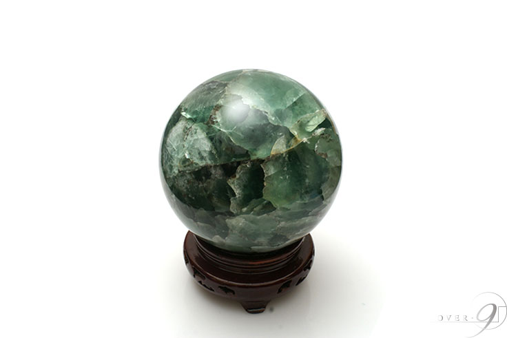 緿 ե饤 15,5cm̡ڥ᡼Բġ