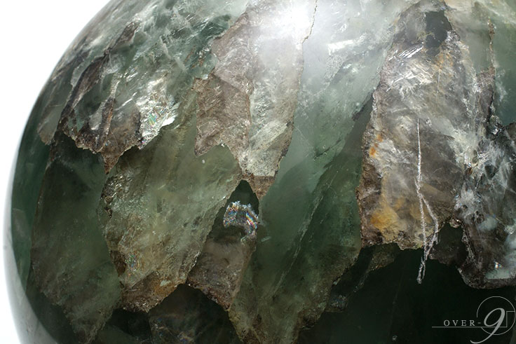 緿 ե饤 15,5cm̡ڥ᡼Բġ