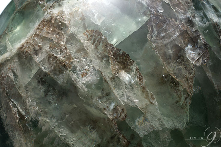 緿 ե饤 15,5cm̡ڥ᡼Բġ