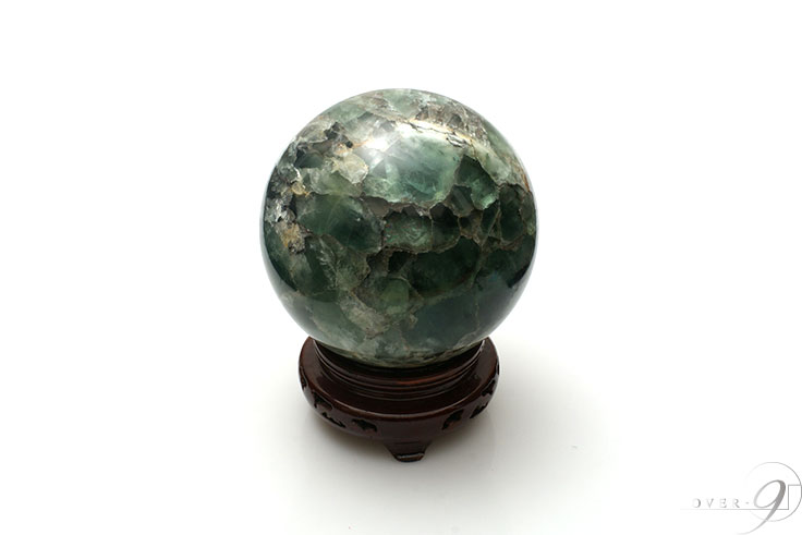 緿 ե饤 15,5cm̡ڥ᡼Բġ