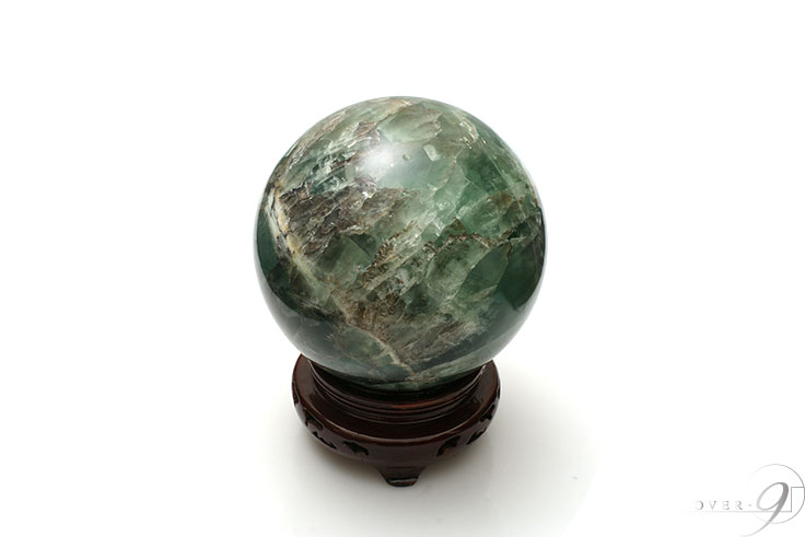 緿 ե饤 15,5cm̡ڥ᡼Բġ