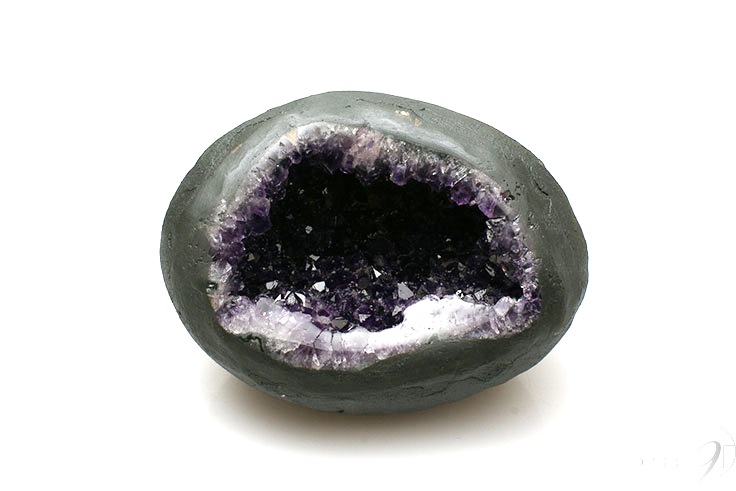 ᥸ȥɡࡡ3.2kg ڴ̽դ  и ȥ쥸㡼Υ ʪ ѥȡ 2  ζ  ڥ᡼Բġ