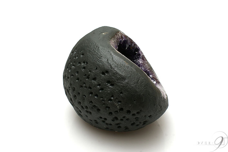 ᥸ȥɡࡡ3.2kg ڴ̽դ  и ȥ쥸㡼Υ ʪ ѥȡ 2  ζ  ڥ᡼Բġ