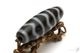 �ڸ�ʪ�����Ϸ��ŷ�� ����ŷ�� ��36mm��13mm�����ή��Τ褦�˺Ɀ���餻�������Ϥ����ϡ��ڥ᡼�����Բġ�