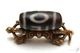 �ڸ�ʪ����۹ȼ뺽 Ϸ��ŷ�� ��������Ǵ�ŷ�� ��25mm��12mm�ä��٤Ƥ�Ĵ�¤�Ƴ����������ʡ������󤻤���ڥ᡼�����Բġ�