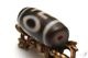 �ڸ�ʪ����۹ȼ뺽 Ϸ��ŷ�� ��������Ǵ�ŷ�� ��25mm��12mm�ä��٤Ƥ�Ĵ�¤�Ƴ����������ʡ������󤻤���ڥ᡼�����Բġ�