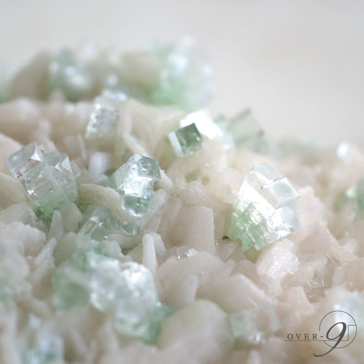 �ڥ��ݥե��饤�� ���ƥ���Х��ȡ���553g������ɻ��ۡڥ᡼�����Բġ�