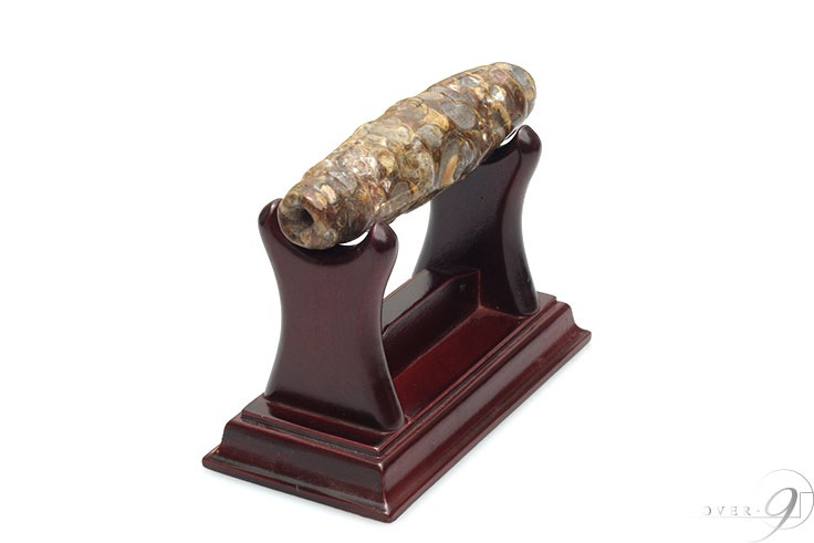 ˡŷ97mm24mmۡդۡڥ᡼Բġۡۥ鳭