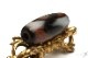 �ڹȼ뺽���ײ�ŷ���26mm��10mm�ۡڥ᡼�����Բġ�