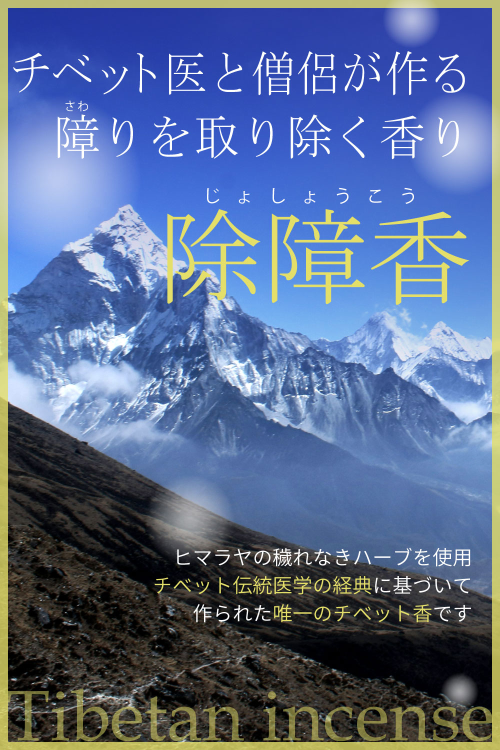 ���٥åȹ� ����� ��Lhasa�ʥ饵�ˡաڥ᡼���زġۺǶ��ζ��־��� ���ۤ�ޥ���ɥե�ͥ� ���� ���� ���٥åȽ����