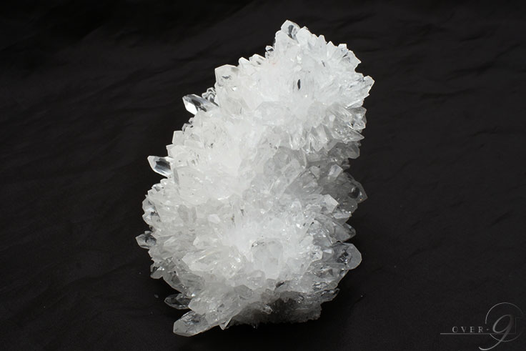 �ڵƲ� �徽���饹���� ��񡦻���ʻ���562g�ۥե��徽 �����ڥ᡼�����Բġ�