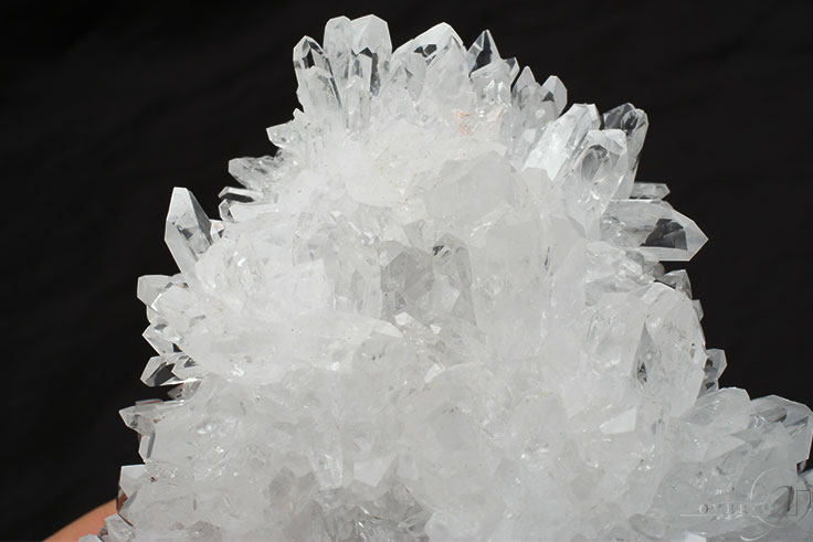 �ڵƲ� �徽���饹���� ��񡦻���ʻ���562g�ۥե��徽 �����ڥ᡼�����Բġ�