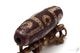 ��8��9�����䳫�ϡۡڸ�ʪ����۹ȶ̿�ŷ�� ���ŷ�� ��39mm��13mm������ǽ�Ϥ�����Ф���������Ƴ����㡣�ڥ᡼�����Բġ�