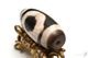 �ڹȼ뺽����������ŷ���30mm��13mm�ۡڥ᡼���زġ�
